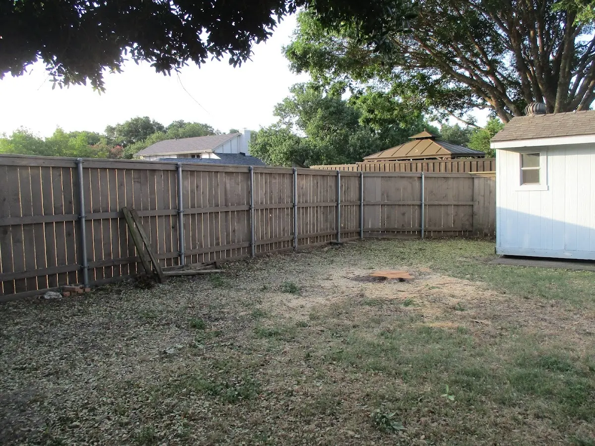 Cleared yard after professional tree removal in Pleasantville
