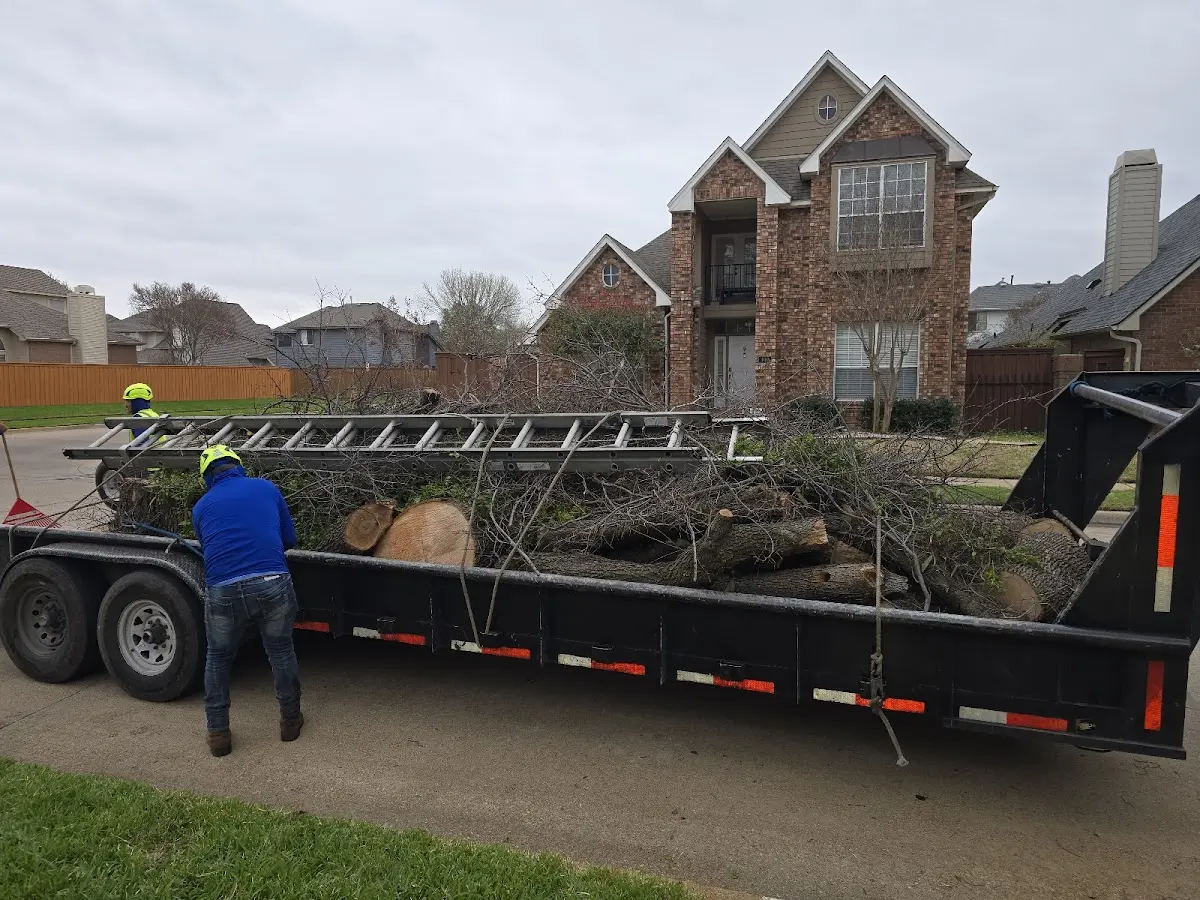 Expert Crown Reduction with proper safety equipment in Pleasantville